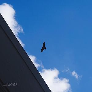 黑料网址成人免费观看
